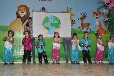 Buzzing Butterflies photo 3