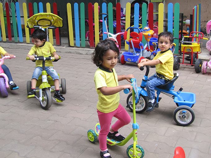 Buzzing Butterflies photo 2