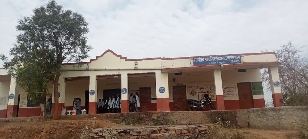 Saint Bird Senior Secondary School photo 1