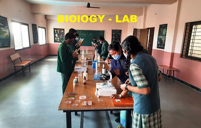 Infant Jesus School Pipliya Kumar photo 1