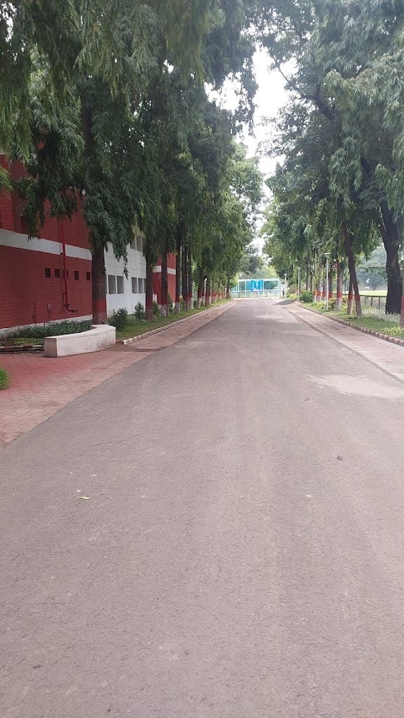 Choithram International Manikbagh photo 1