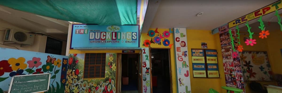 Ducklings Play School photo 3