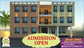 Bright Mind Senior Secondary School gallery image 1