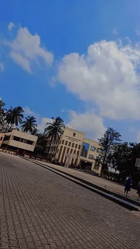 Mary Immaculate School Wilson Garden photo 5