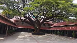 Bishop Cotton Girls' School Ashok Nagar photo 6