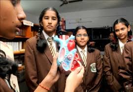 The New Cambridge School Vijayanagar photo 5