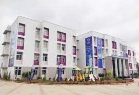 Ryan International School gallery image 7