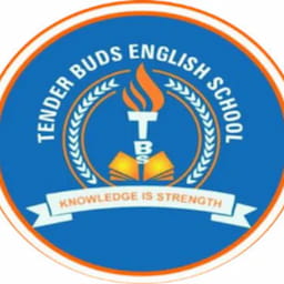 Tender Buds Nursery School,Gultekadi,one of the top school in Pune