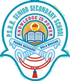 PSBB, T-nagar i,  one of the best Cbse school in Chennai