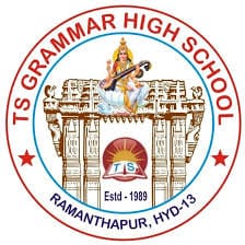 TS Grammar High School