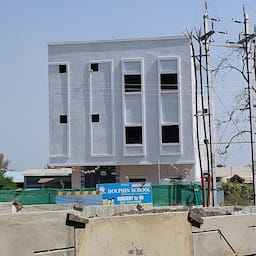 Dolphin School