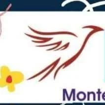 Nees Montessori house of children And Day Care