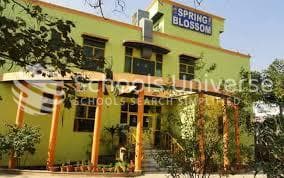 Kids Habitat photo 1