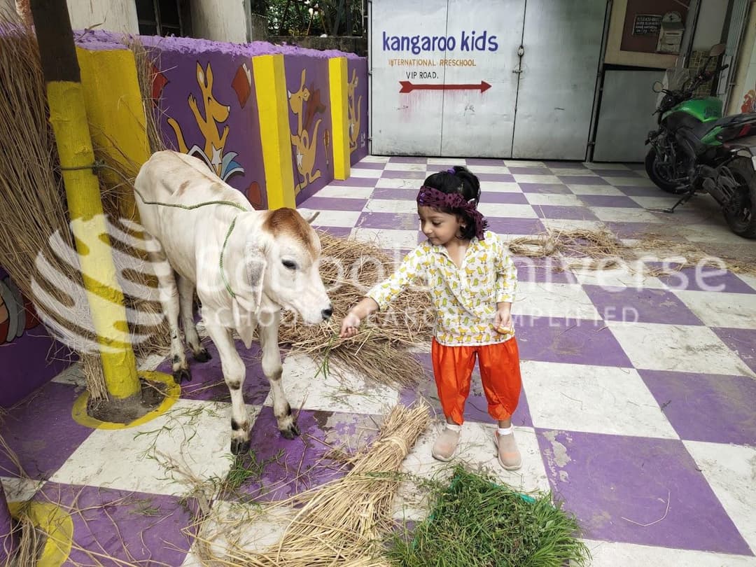 Kangaroo Kids Vip Road Kaikhali photo 1
