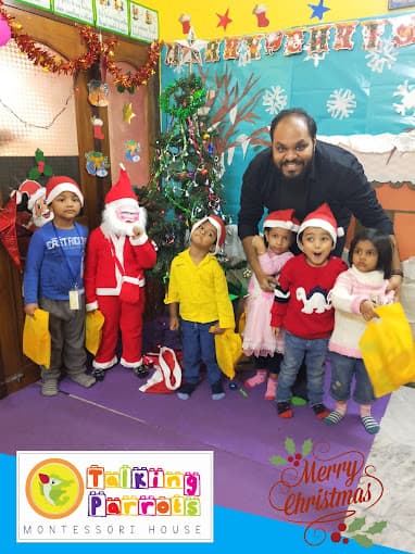 Talking Parrots photo 3