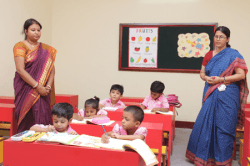 Little Hartley photo 2