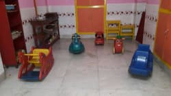 Blooming Daffodils Lansdown photo 2