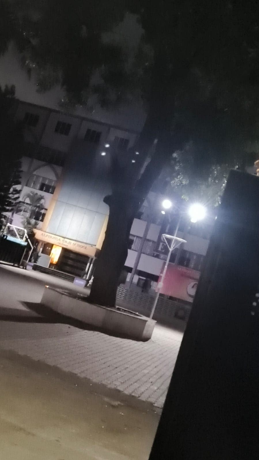 Alphonsa High School photo 1