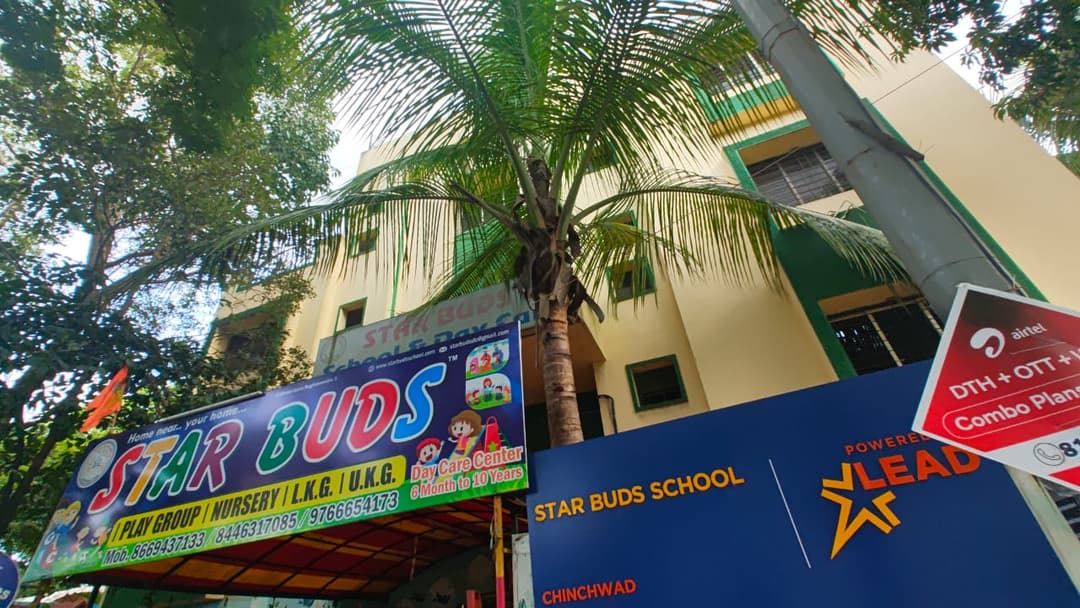 Star Buds School photo 3