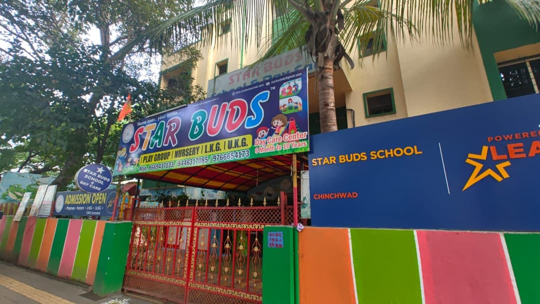 Star Buds School photo 2
