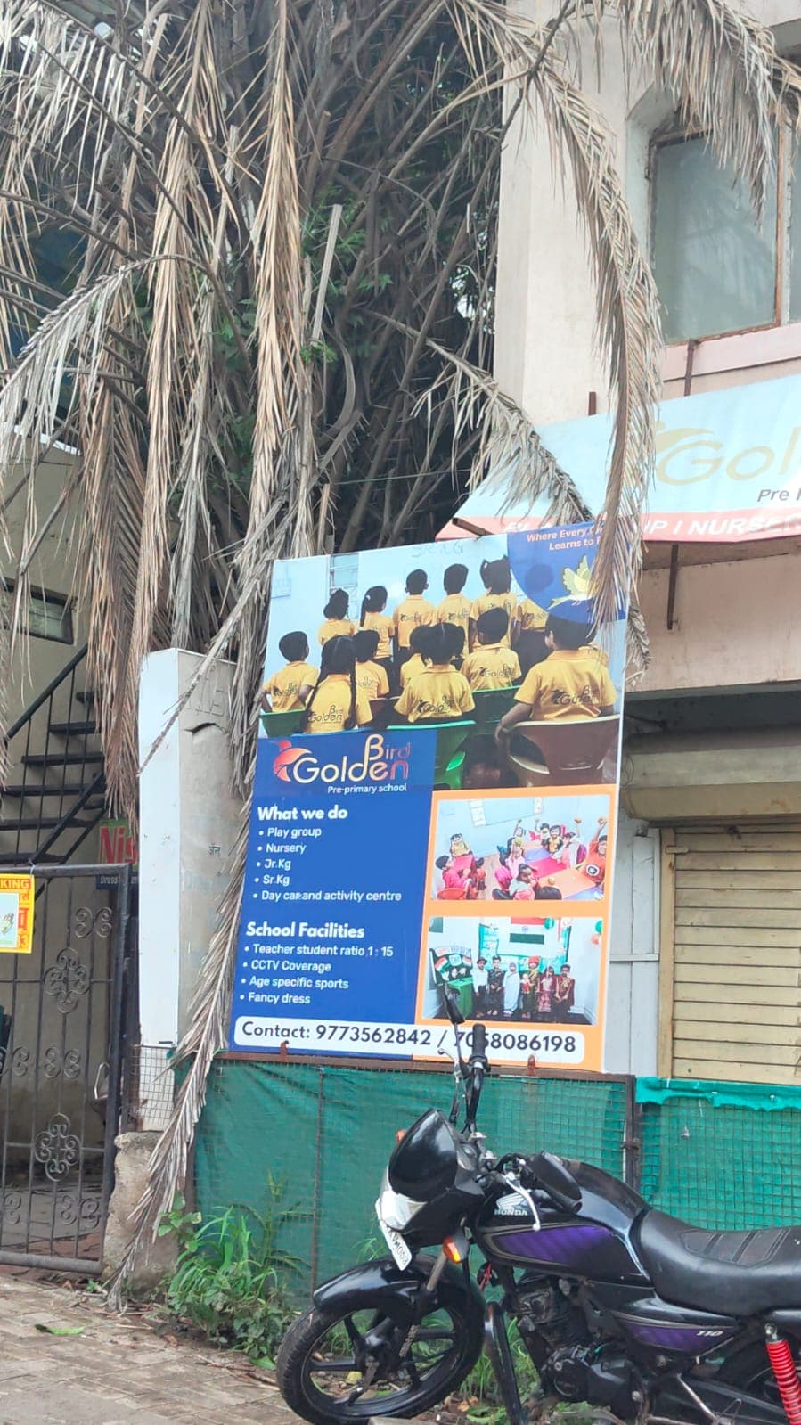 Golden Bird Primary School photo 1