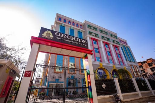 Orchids gallery image 3