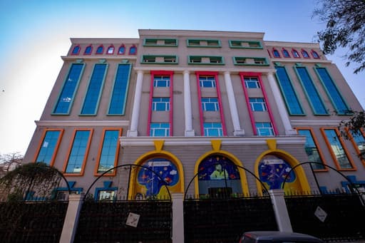 Orchids gallery image 4