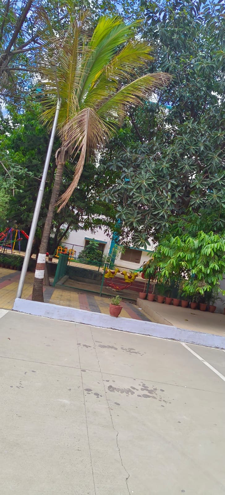 Blossom Public School photo 2