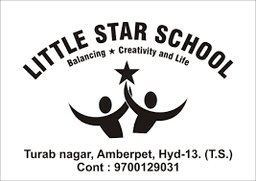 Little Star School Little Star School