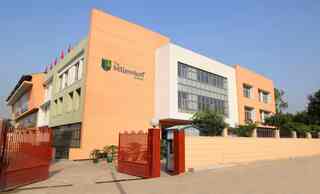 The Millennium School Sector 38 photo 2