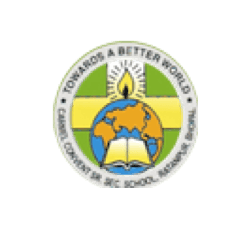 Carmel Convent Senior Secondary School Carmel Convent Senior Secondary School