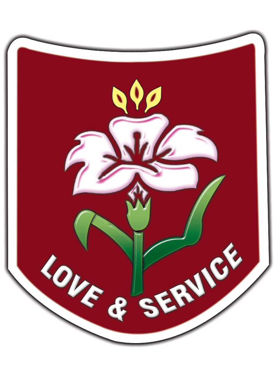 Holy Angels Anglo Indian Higher Secondary School, Chennai logo Holy Angels Anglo Indian Higher Secondary School, Chennai logo