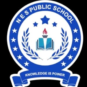 N E S Public School, Bangalore N E S Public School, Bangalore logo