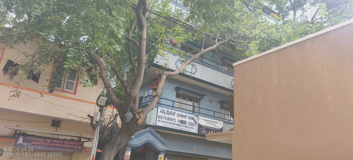 New Florence English School photo 1