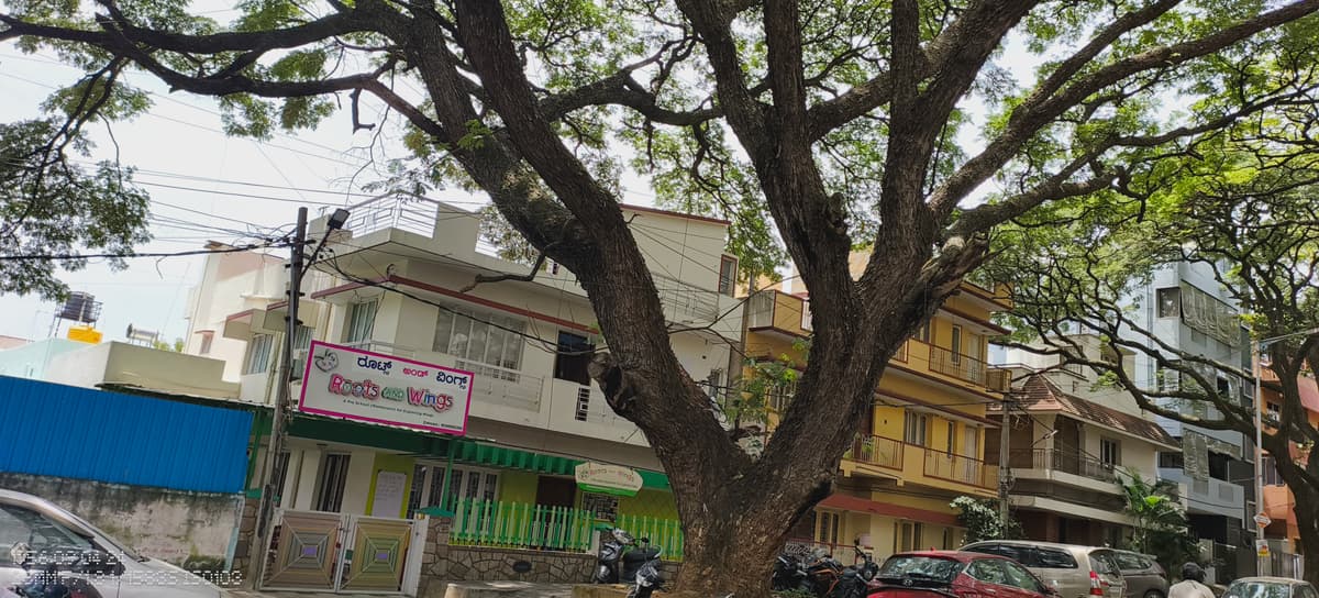 Roots And Wings photo 1