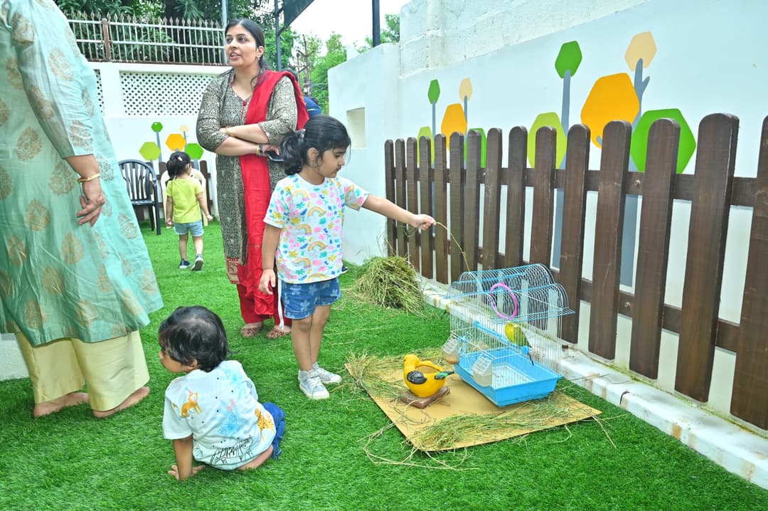Firstcry Intellitots Preschool & Daycare Arera Colony photo 1