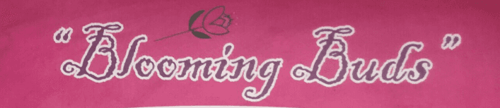 blooming-buds-preprimary-school-kurla-west-mumbai