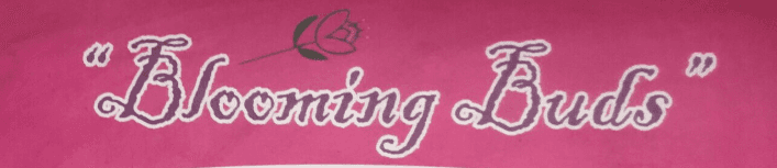 Blooming Buds Preprimary School, Kurla West, one of the top pre school in Mumbai Blooming Buds Preprimary School, Kurla West, one of the top pre school in Mumbai