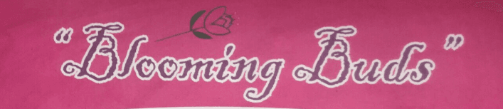 Blooming Buds Preprimary School Kurla West photo 2