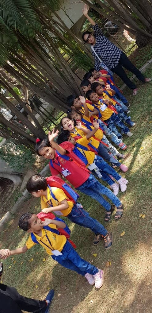 Little flowers Bloom photo 1