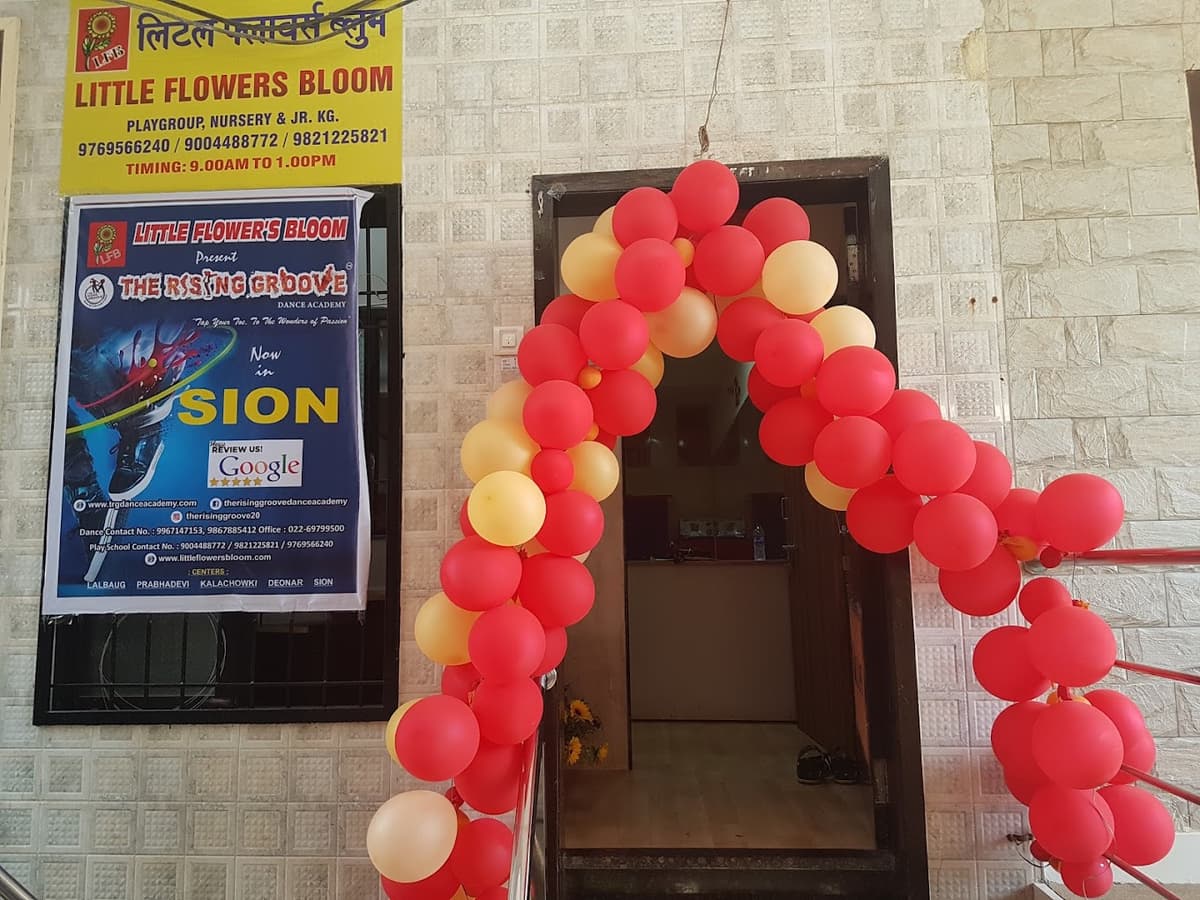 Little flowers Bloom photo 2