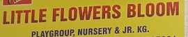 Little flowers Bloom, Mumbai Little flowers Bloom, Mumbai logo