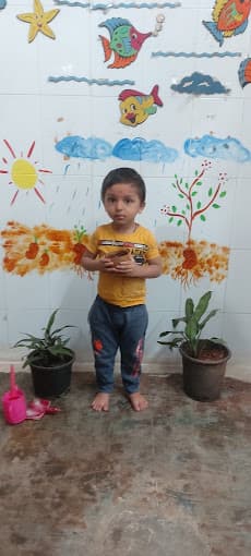 Little wonders photo 2