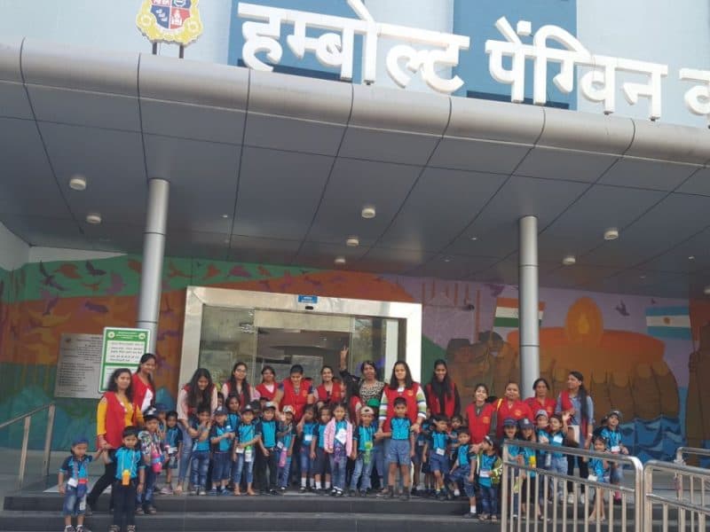 Little Wonders photo 2