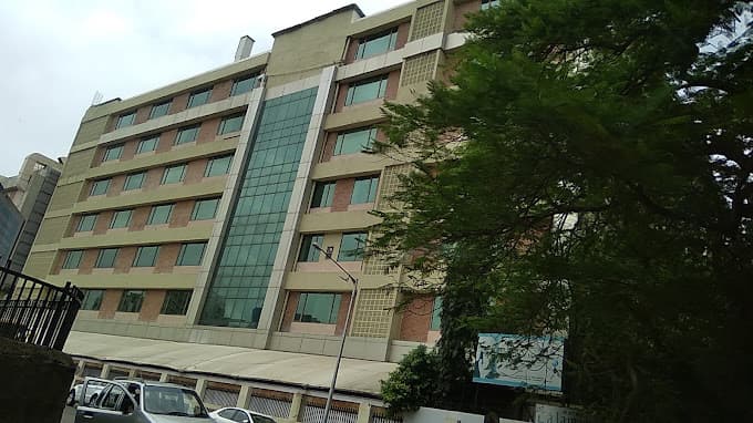 Ecole Mondiale World School photo 1