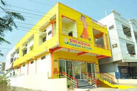 Shemrock Idols Primary School Panchwati Colony photo 3