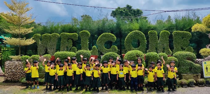 Sapling shaping kids Krishna Nagar photo 2