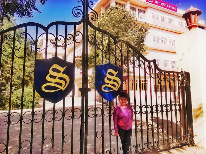 Springfield School photo 3