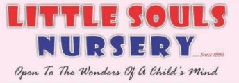little-souls-nursery-school-garkheda-aurangabad