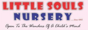 LITTLE SOULS NURSERY SCHOOL Garkheda LITTLE SOULS NURSERY SCHOOL Garkheda